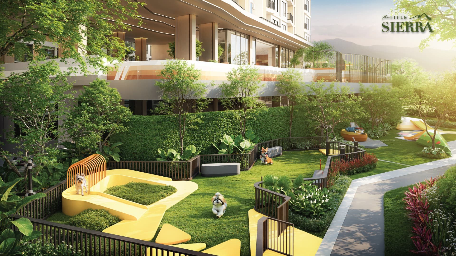 THE TITLE SIERRA gallery 5